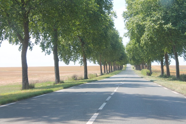 Entre Maintenon et Chartres